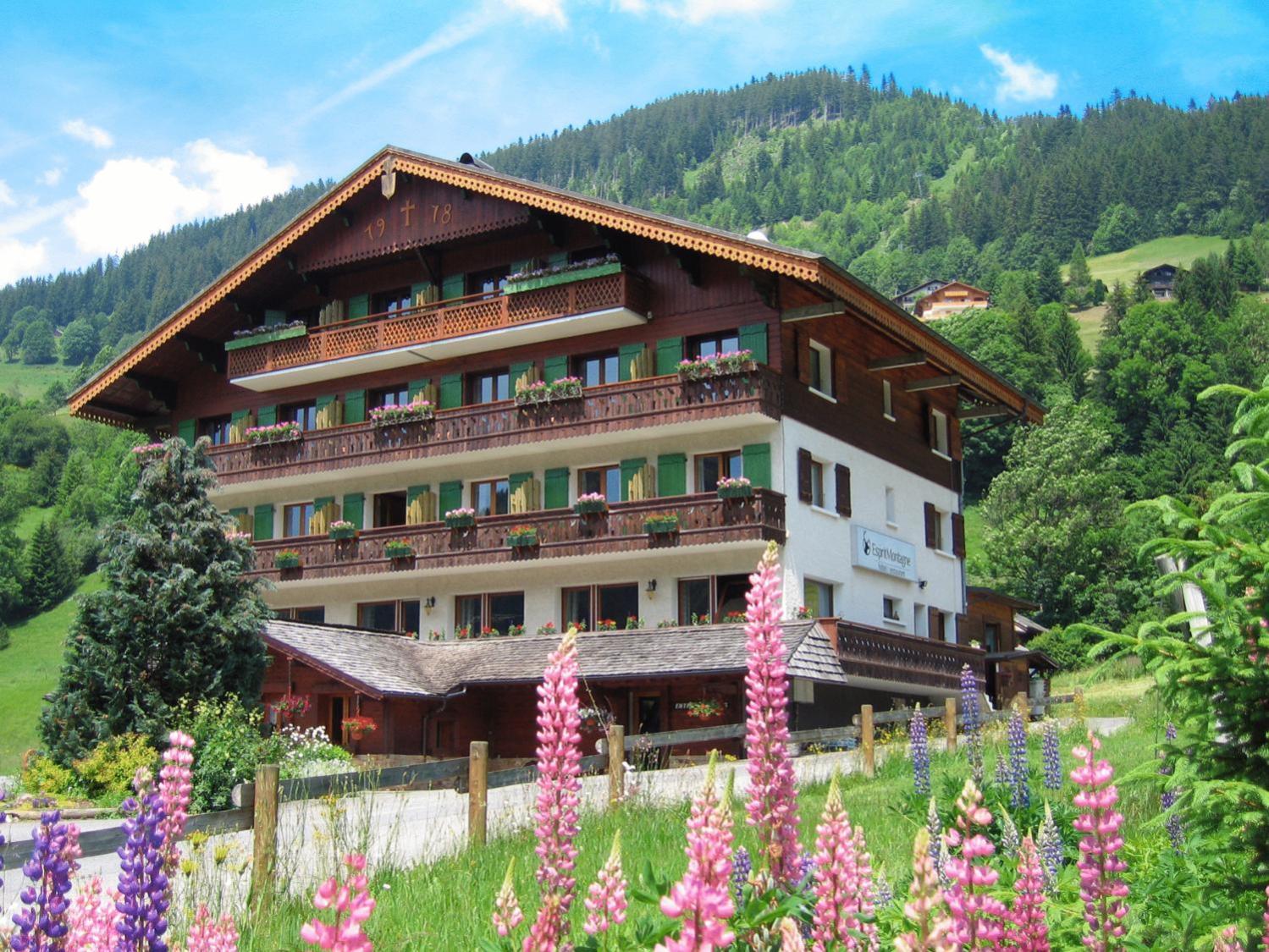 Hotel Esprit Montagne Abondance Exteriér fotografie